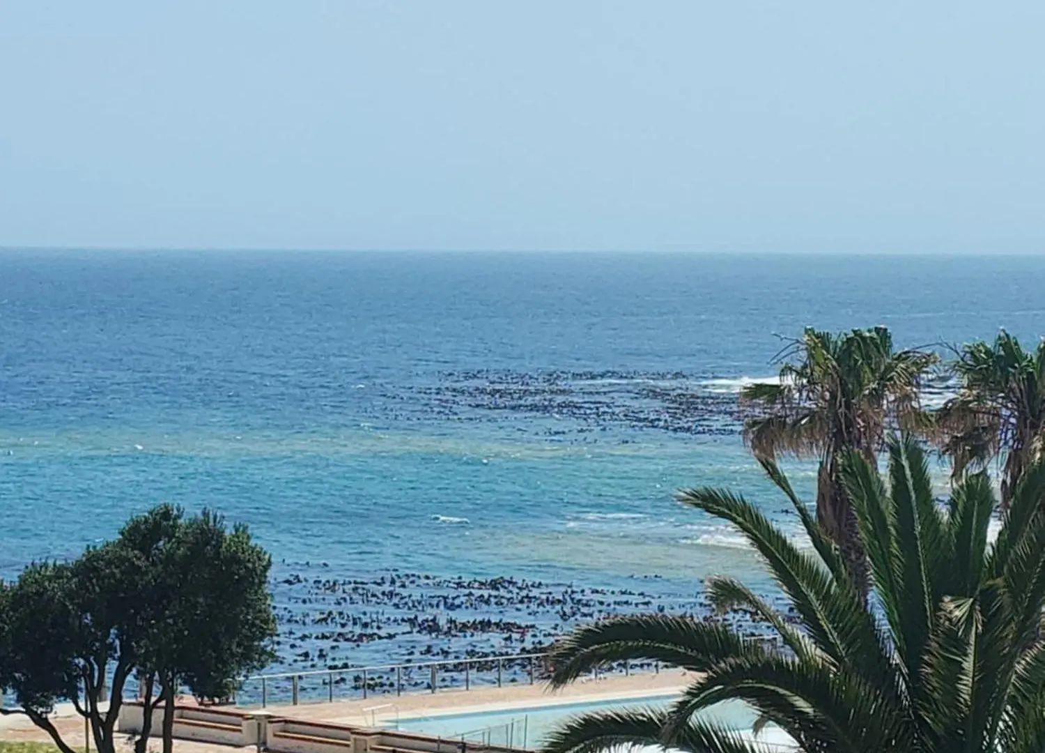 Ocean View Sea Point Near The Beach Cape Town